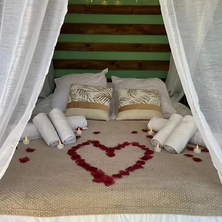 Escape Zen Oasis Tropicale & Privatif Villa Loon-Plage