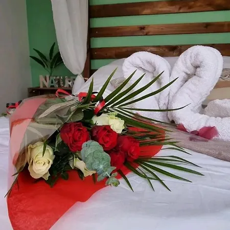 Escape Zen Oasis Tropicale & Privatif Loon-Plage