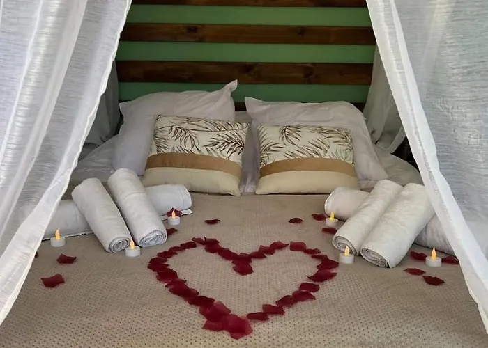 Escape Zen Oasis Tropicale&spa Privatif Villa Loon-Plage