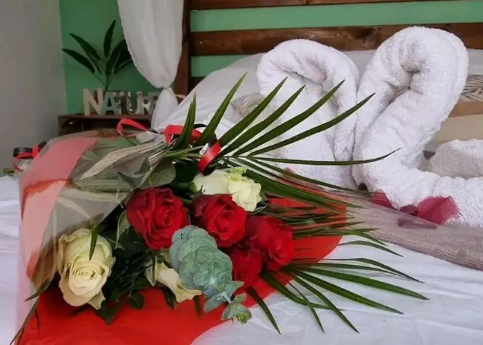 Escape Zen Oasis Tropicale&spa Privatif Loon-Plage